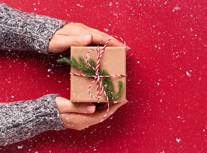 Qbedding Holiday Gift Ideas