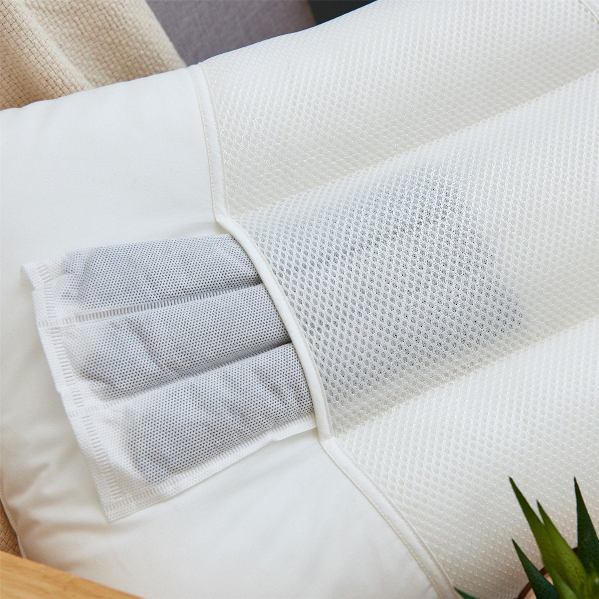 PiloMio Teens Cervical Support Cassia Seeds Pillow