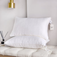 PiloMio Teens Microfiber Pillow
