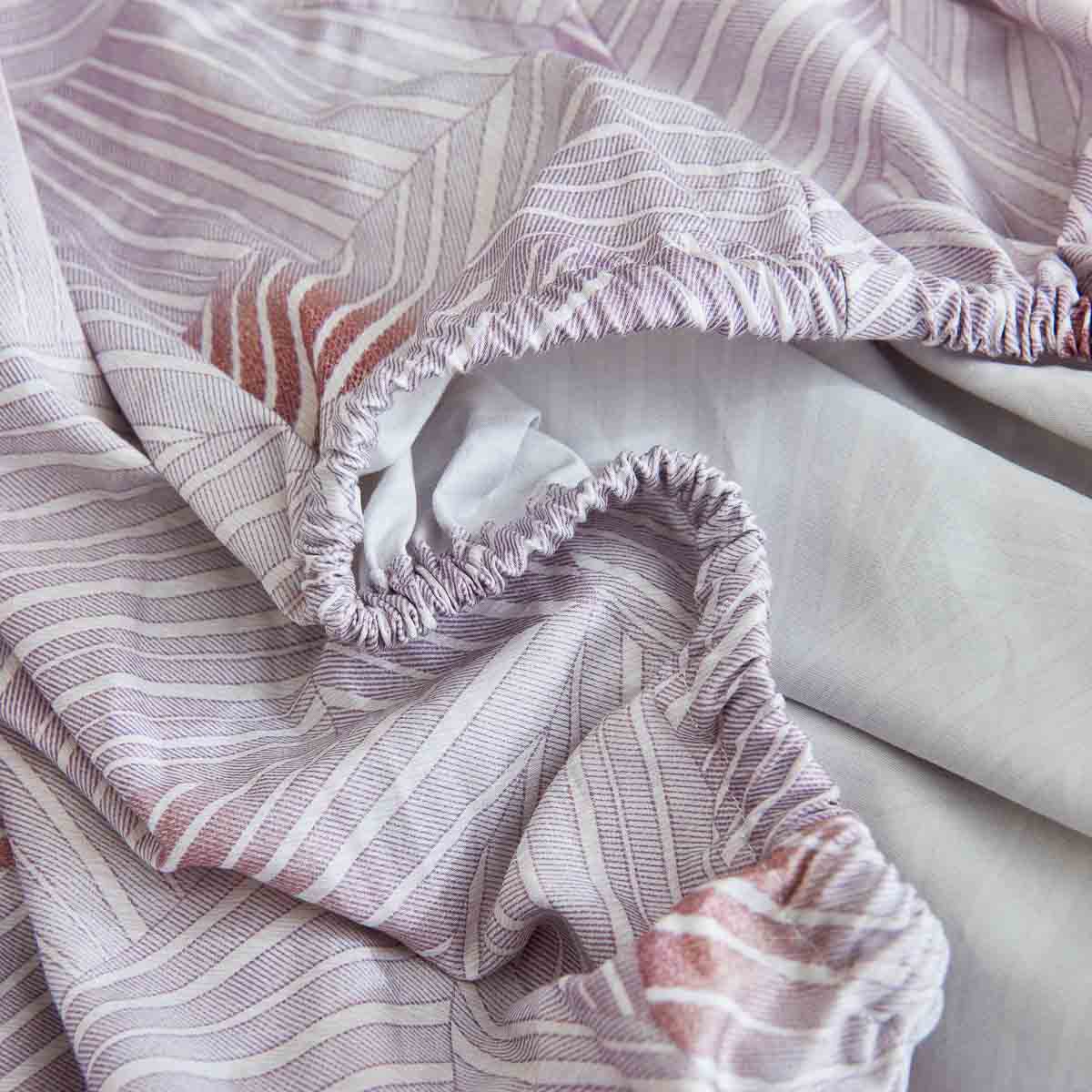 Earth Tan Premium Cotton Fitted Sheet