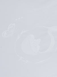 茧逸桑蚕丝四季被