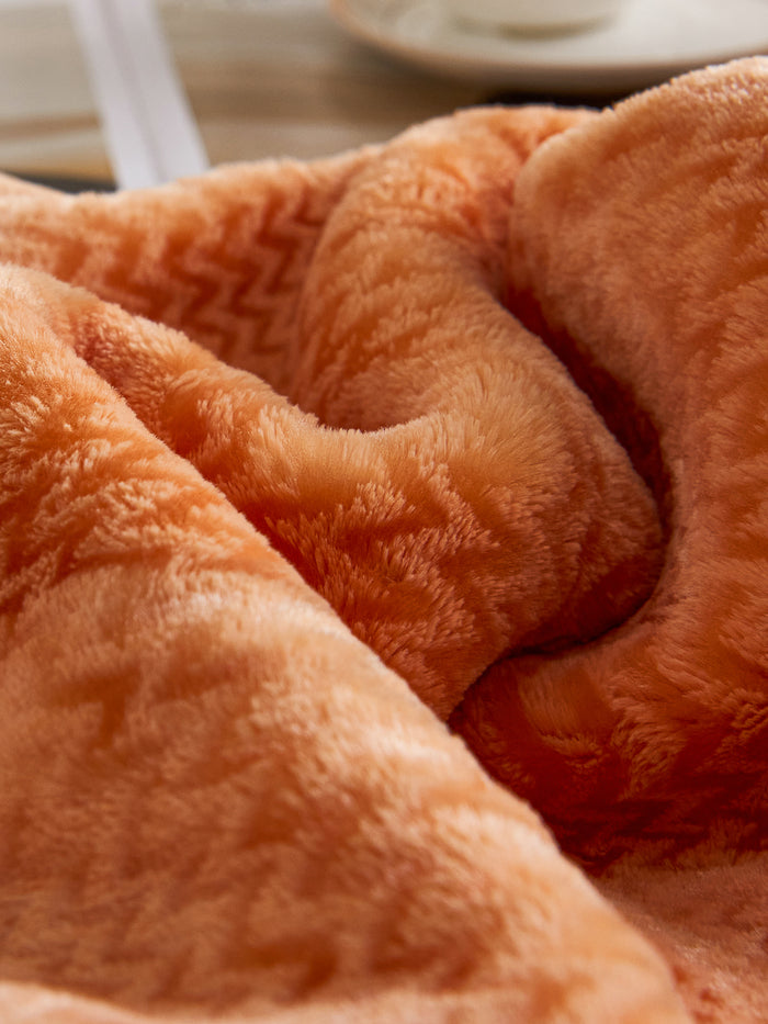 Flatte Pattern Raschel Velvet Winter Blanket