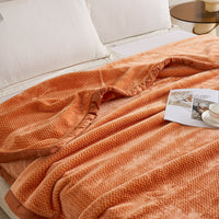Flatte Pattern Raschel Velvet Winter Blanket