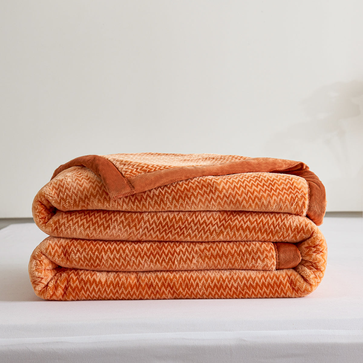 Flatte Pattern Raschel Velvet Winter Blanket