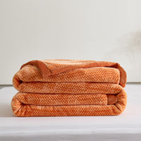 Flatte Pattern Raschel Velvet Winter Blanket