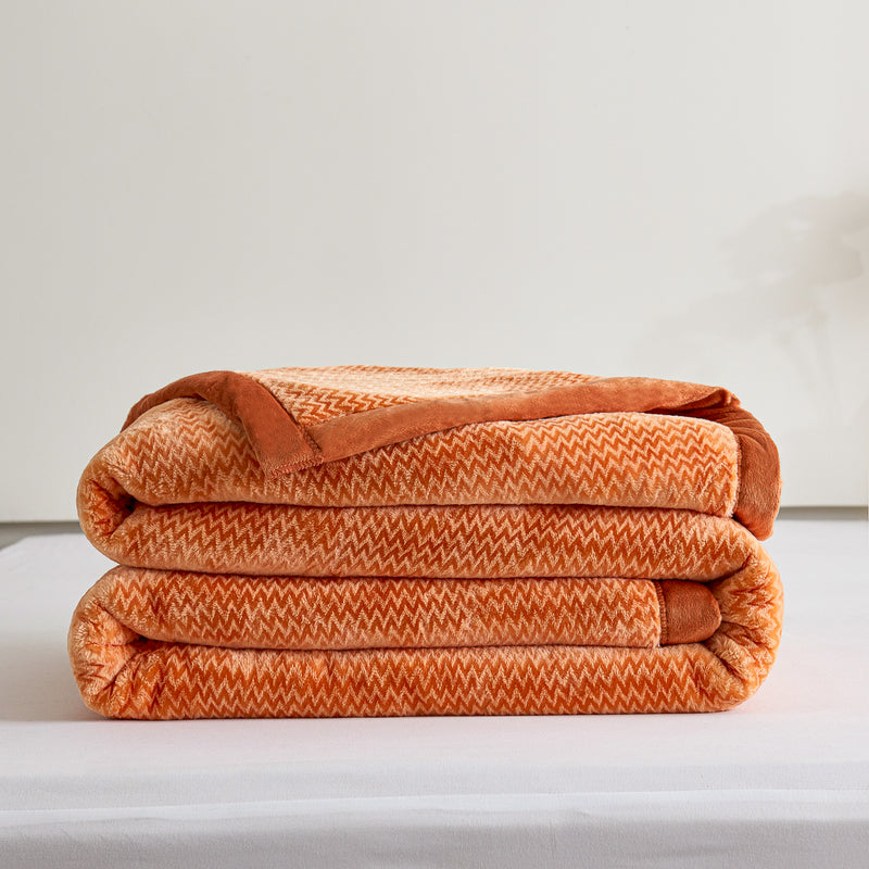 Flatte Pattern Raschel Velvet Winter Blanket