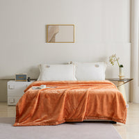 Flatte Pattern Raschel Velvet Winter Blanket