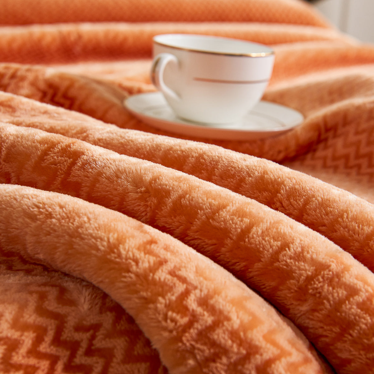 Flatte Pattern Raschel Velvet Winter Blanket