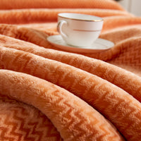 Flatte Pattern Raschel Velvet Winter Blanket