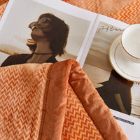 Flatte Pattern Raschel Velvet Winter Blanket