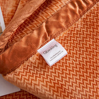 Flatte Pattern Raschel Velvet Winter Blanket