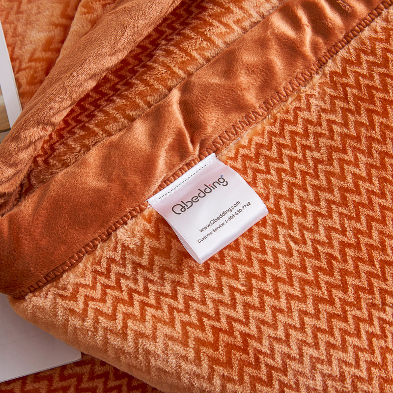 Flatte Pattern Raschel Velvet Winter Blanket