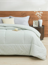 Iota Plum Green Cotton All Season Comforter