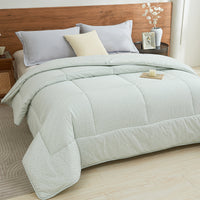 Iota Plum Green Cotton All Season Comforter
