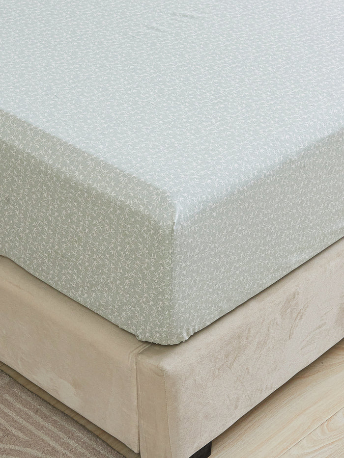 Iota Plum Green Cotton Fitted Sheet