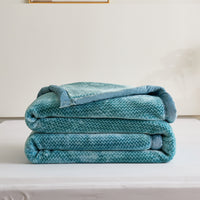 Lanli Pattern Raschel Velvet Winter Blanket