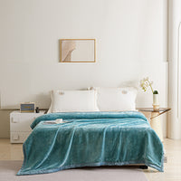 Lanli Pattern Raschel Velvet Winter Blanket