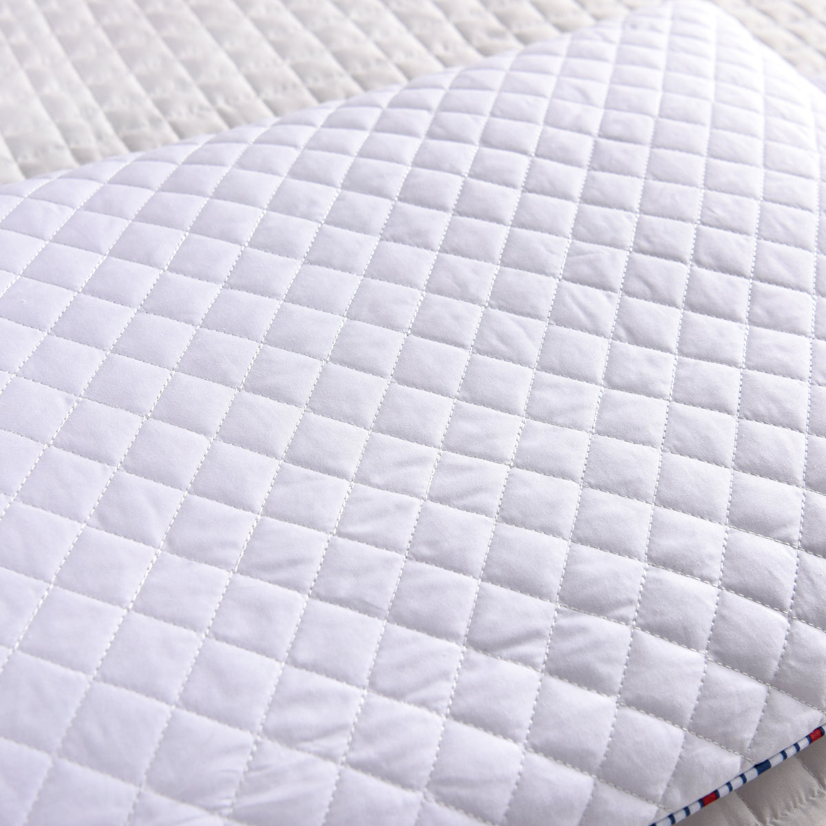 PiloMio® Buckwheat Hull Standard Adjustable Pillow