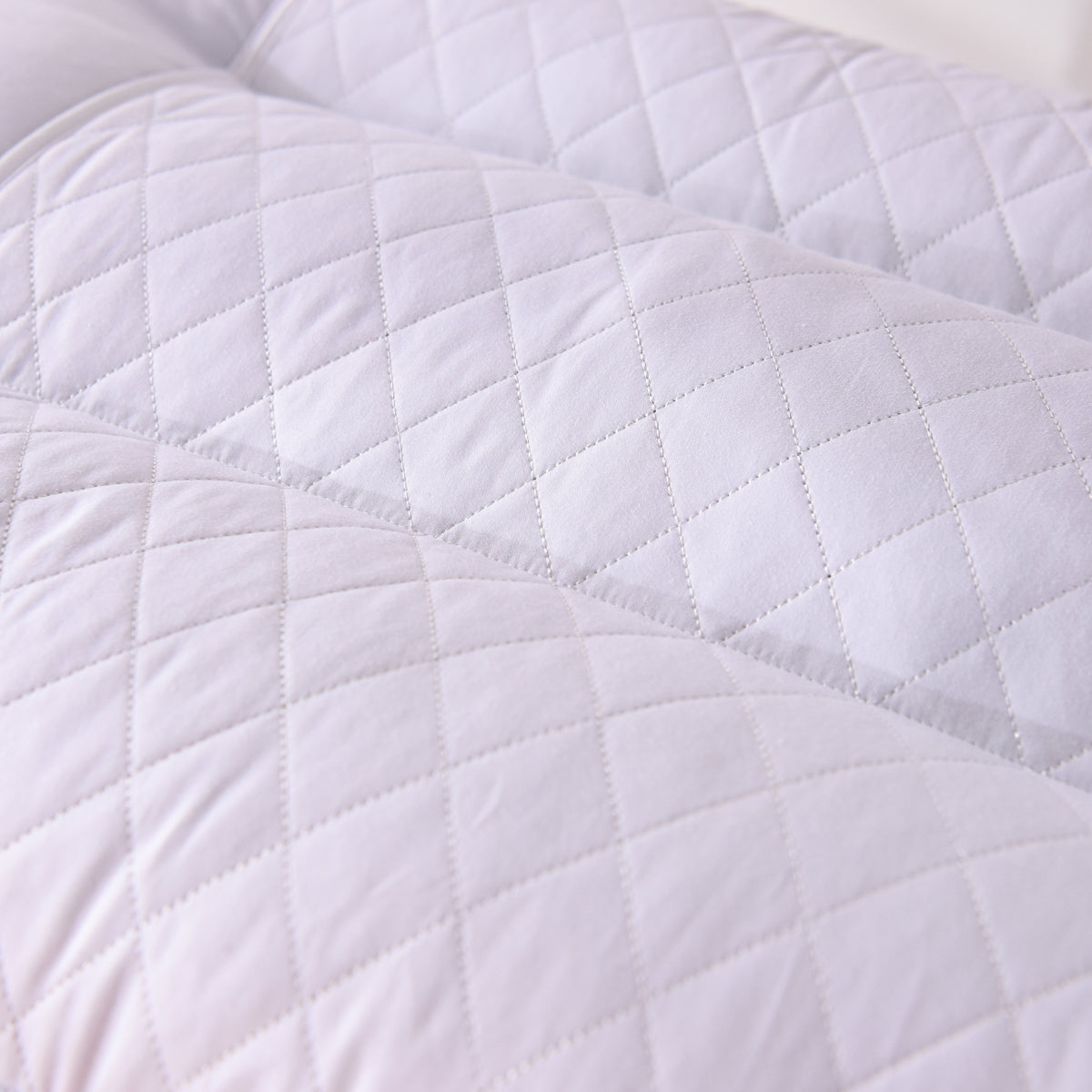 PiloMio® Cassia Seeds Standard Cervical Support Pillow