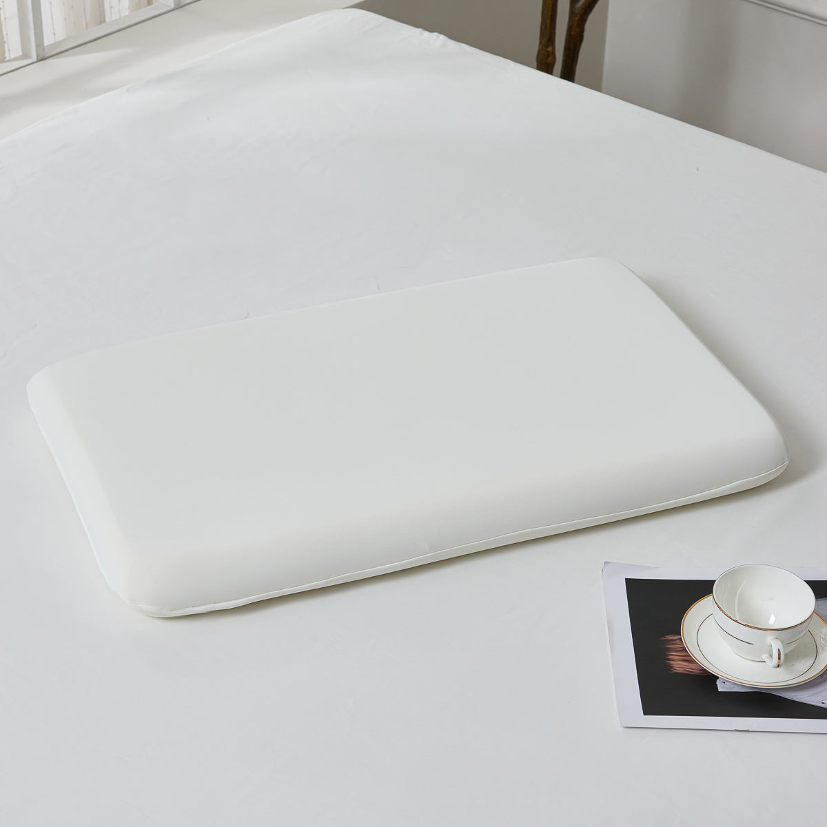 PiloMio® Goose Down Memory Foam Dual Pillow