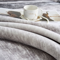 Simon Pattern Raschel Velvet Winter Blanket