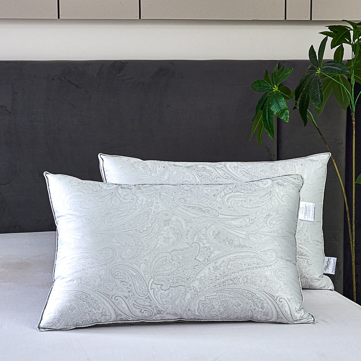 Beauty Sleep Micro-fiber Pillow