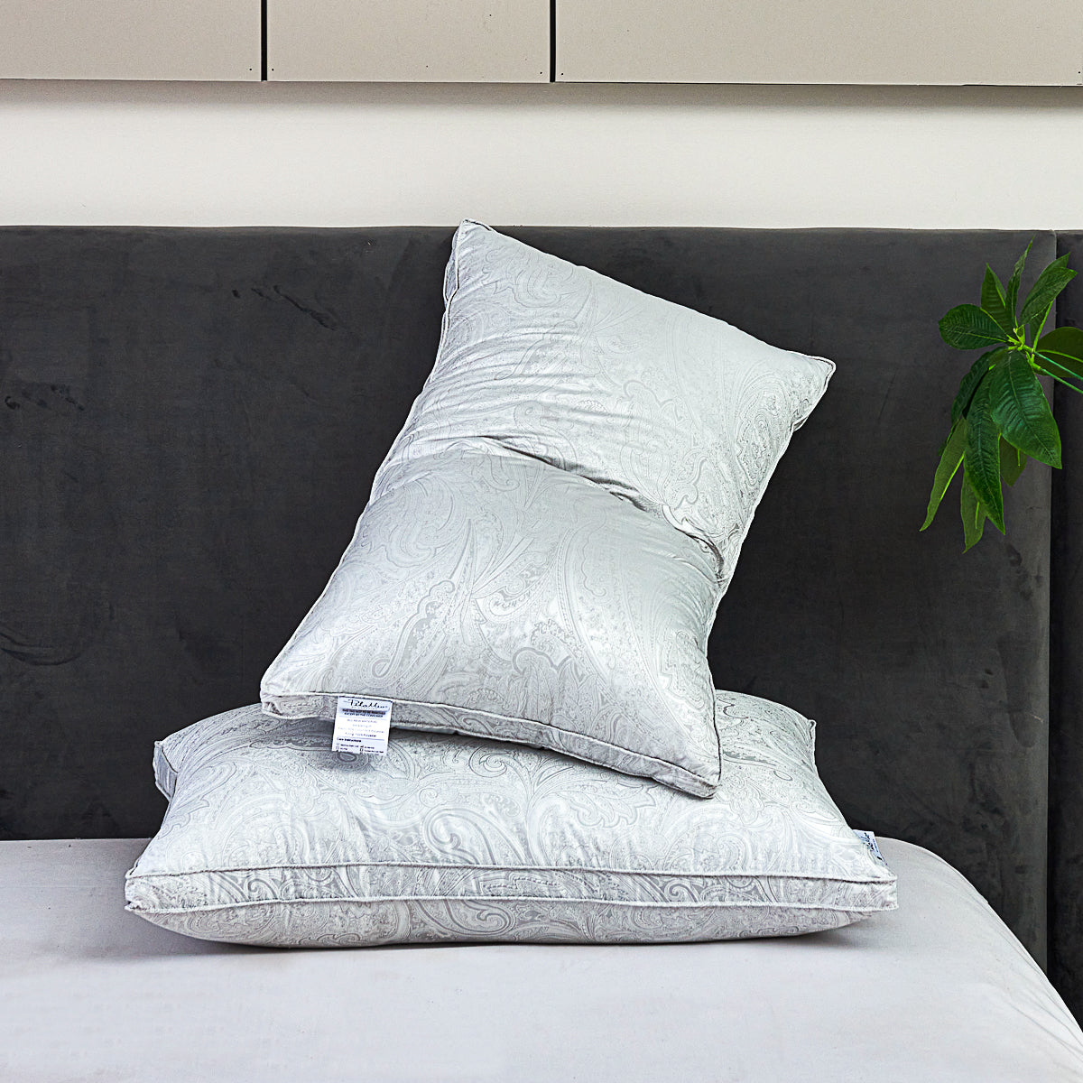 Beauty Sleep Micro-fiber Pillow